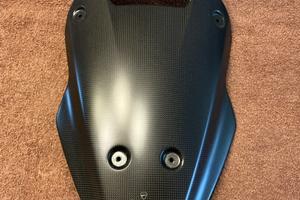 Cupolino carbonio Ducati performance multistrada v