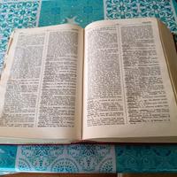 Vocabolario latino Castiglioni Mariotti