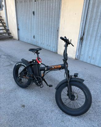 Bicicletta Elettrica