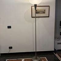 Piantana acciaio vetro satinato
