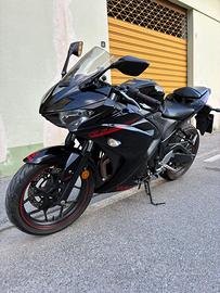 Yamaha yzf r 3