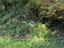 Immagine 29
