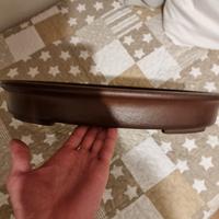 vaso bonsai tokoname 