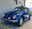 volkswagen-maggiolino