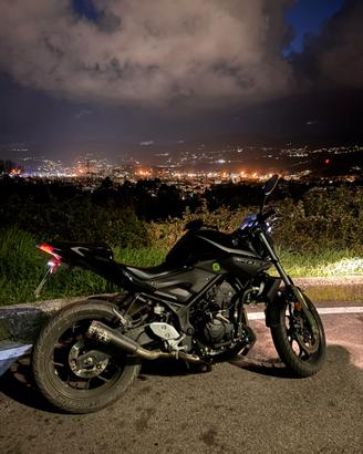 MT 03 2019