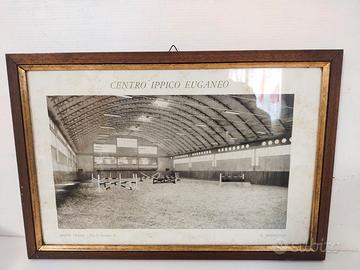 Quadretto storico del "Centro Ippico Euganeo"