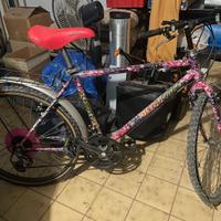 Bici  rampichino da sistemare