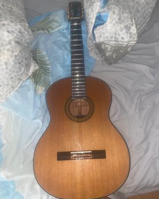 chitarra nuova merida extrema Trajan T-5