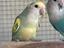 Immagine 3