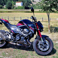 Z800 sugomi