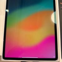 IPAD PRO 12.9 6TH GEN  256GB WIFI CELL - USATO