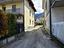 Immagine 12