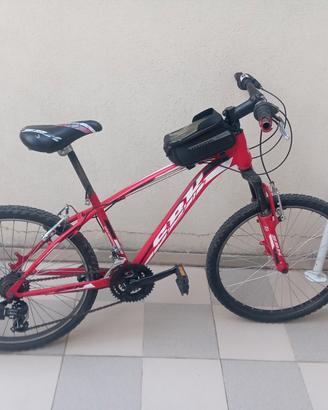bicicletta MTB 