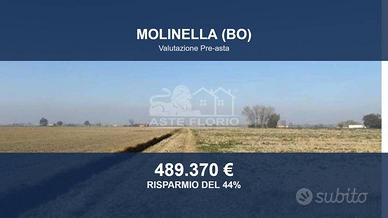 Immobile in asta di 109744 m² a Molinella