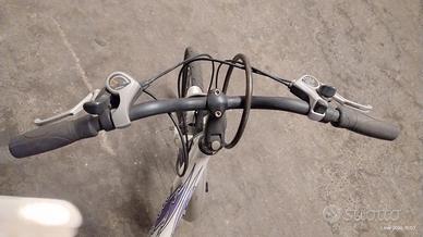 Bicicletta ragazzina