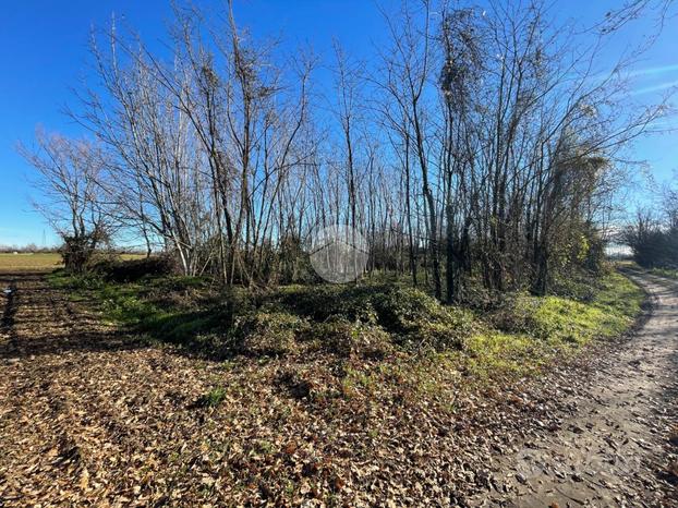 TER. AGRICOLO A ROBECCO SUL NAVIGLIO