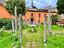 Immagine 7