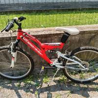 bicicletta
