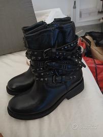 zcaepe di inverno nuove ASH