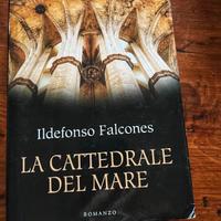 libro La cattedrale del mare 