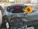 fiat-500-1-0-hybrid-pop