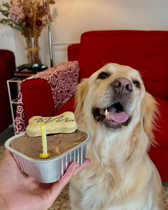 Cane Golden Retriever