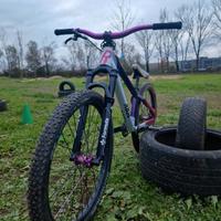 dirt bike "rose bikes" custom