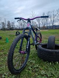 dirt bike "rose bikes" custom