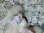 Immagine 4