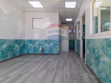 Commerciale Altro - Roma