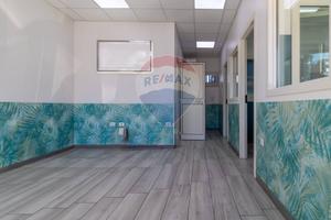 Commerciale Altro - Roma