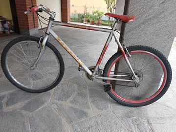 Bicicletta  MTB ESPERIA 26 "
