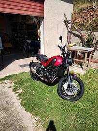 Benelli leoncino 500 trial 