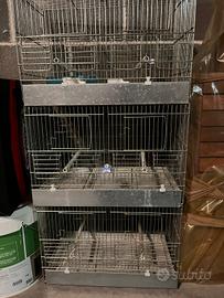 Gabbie zincate per canarini