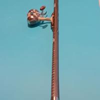 Combo Mitchell canna telereg. + mul. Turbospin adv