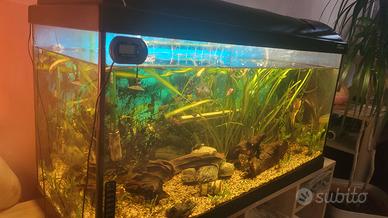 Acquario 120l. misure 80x40x30.