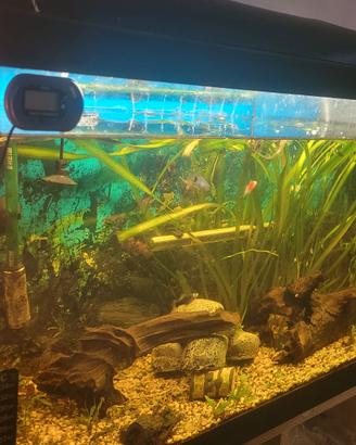Acquario 120l. misure 80x40x30.