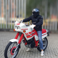 Yamaha xt 600 z tenere 3aj