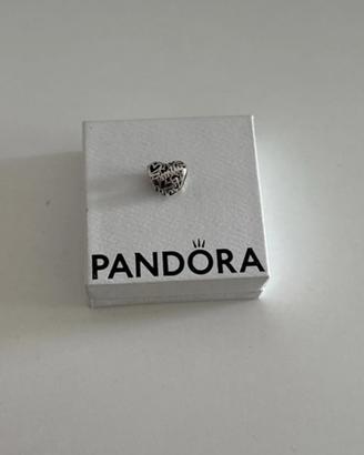 Charm pandora