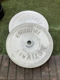 Disco/Peso per palestra