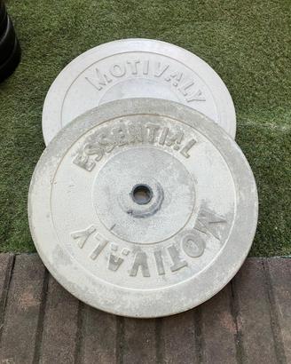 Disco/Peso per palestra