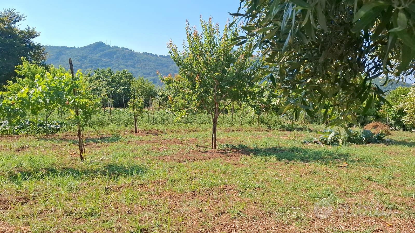 SALERNO-Matierno loc. Pastorano - Vista 5