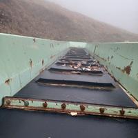 Nastro trasportatore per caricamento Legna