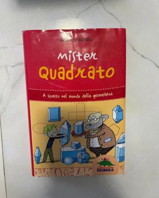 Libro “Mister quadrato” di A. Cerasoli