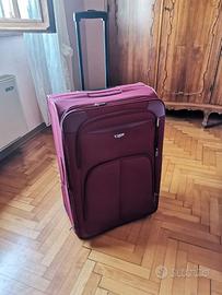 Trolley capiente