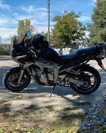 RIBAMBI FZ6