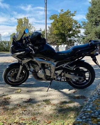 RIBAMBI FZ6