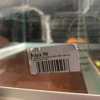 acquario per tartarughe