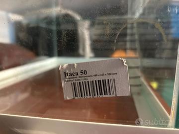 acquario per tartarughe