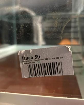 acquario per tartarughe